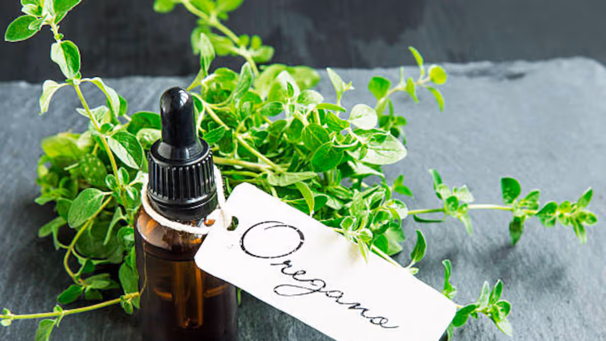 Beneficios del Aceite de Orégano para el SIBO